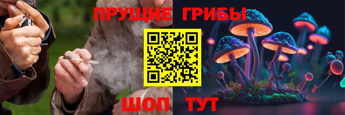 Удомля  Псилоцибиновые грибы Magic Shrooms  Вход с VPN 